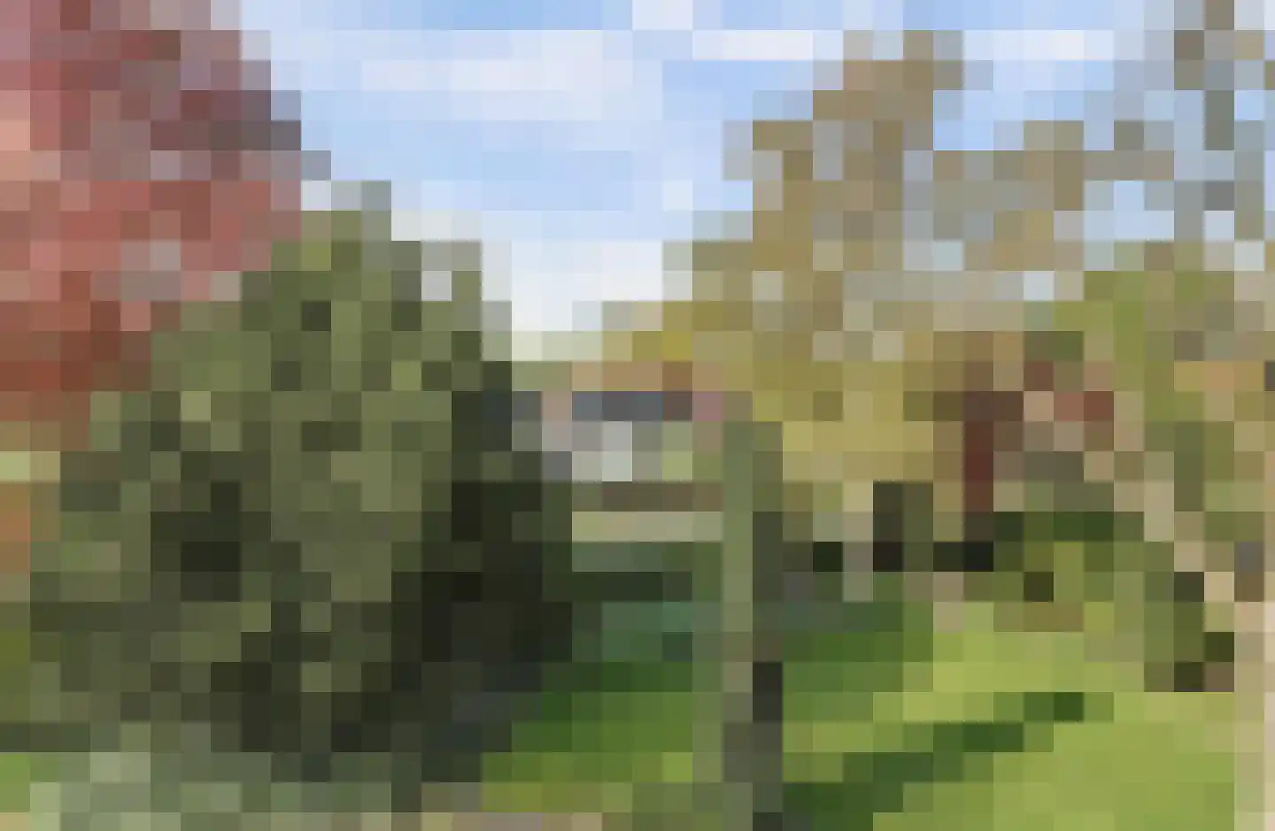 Lopikerweg oost 101 Lopik thumbnail 39