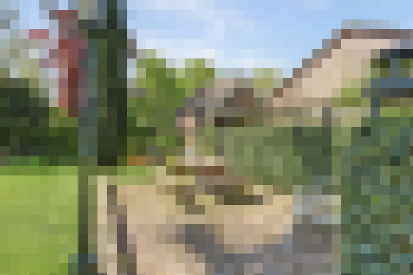 Lopikerweg oost 101 Lopik thumbnail 70