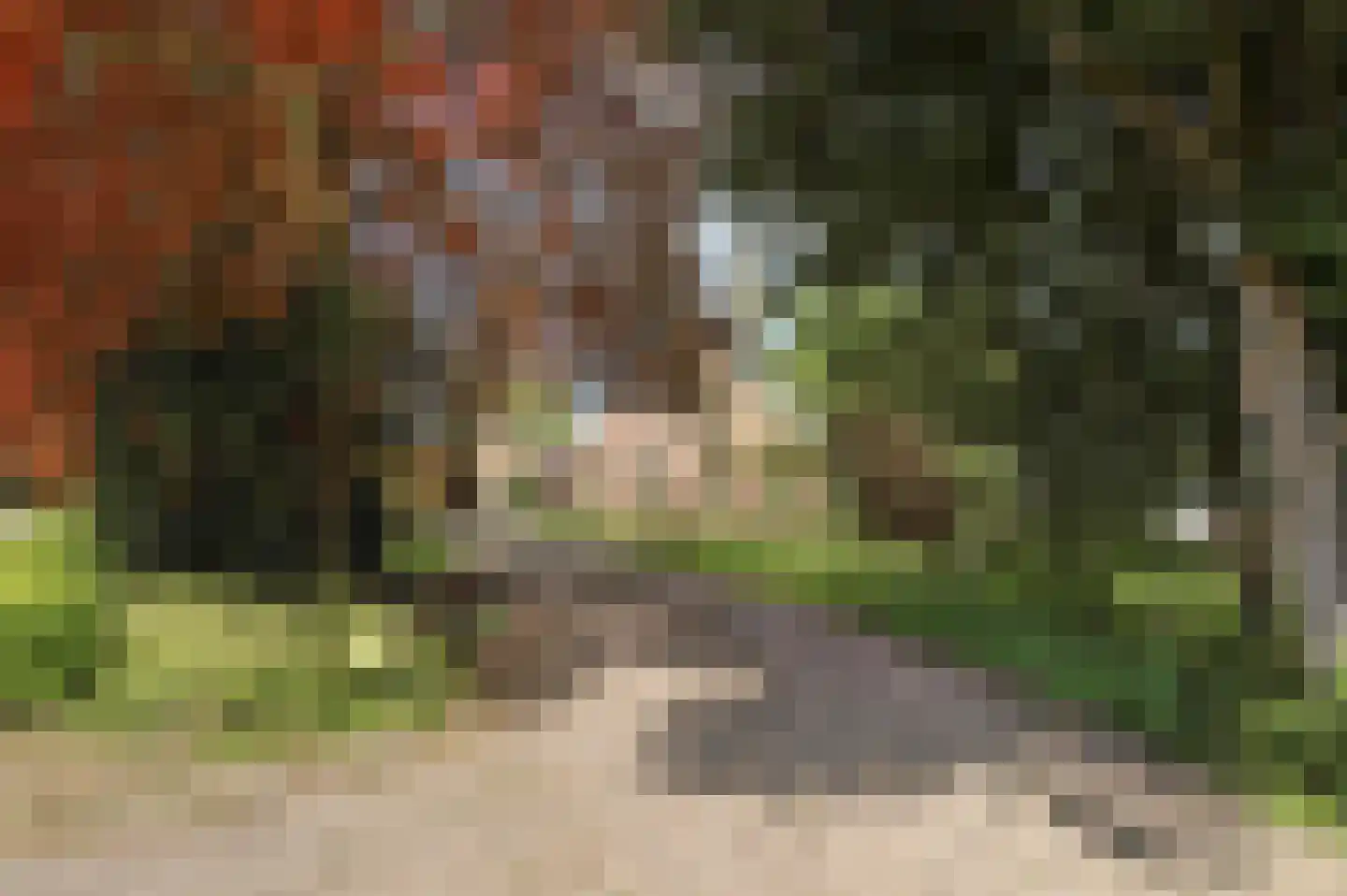 Lopikerweg oost 101 Lopik thumbnail 73