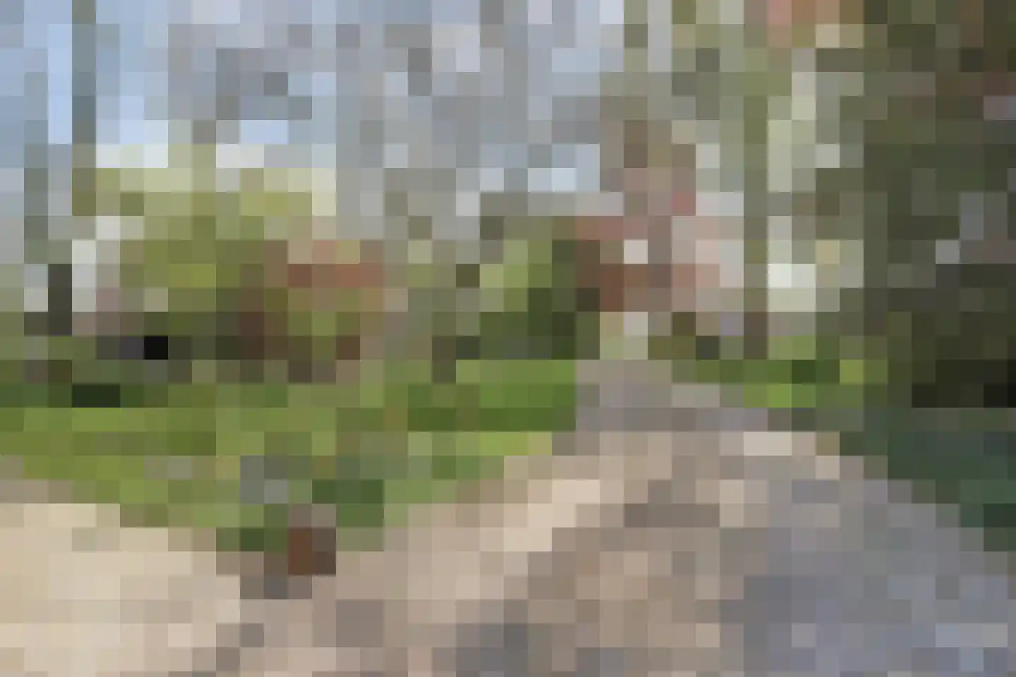 Lopikerweg oost 101 Lopik thumbnail 74