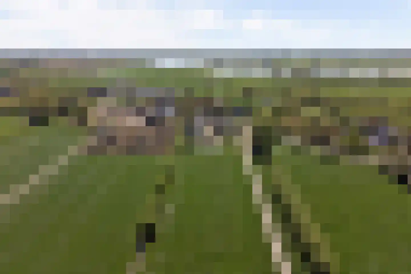 Lopikerweg oost 101 Lopik thumbnail 85