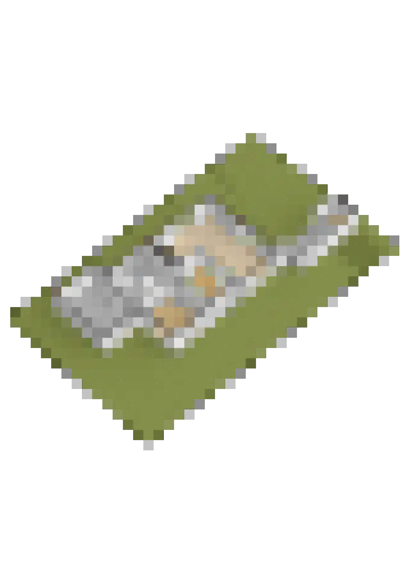 Lopikerweg oost 40 Lopik thumbnail 62