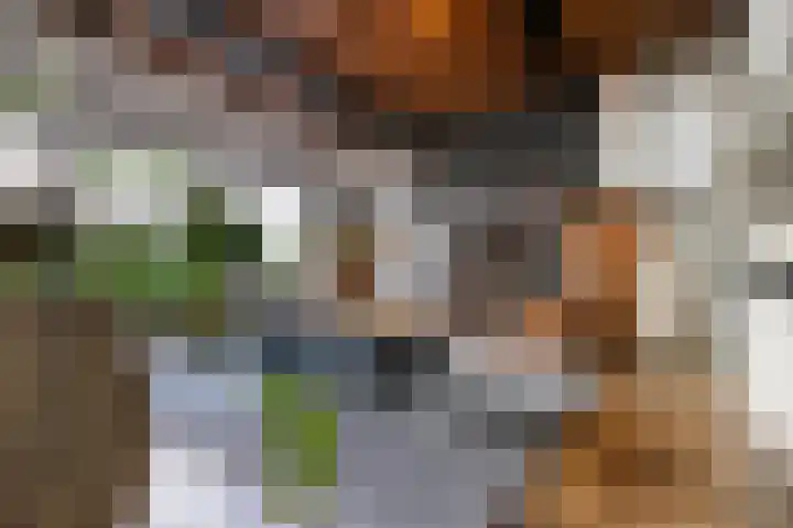 Lopikerweg oost 86 Lopik thumbnail 21