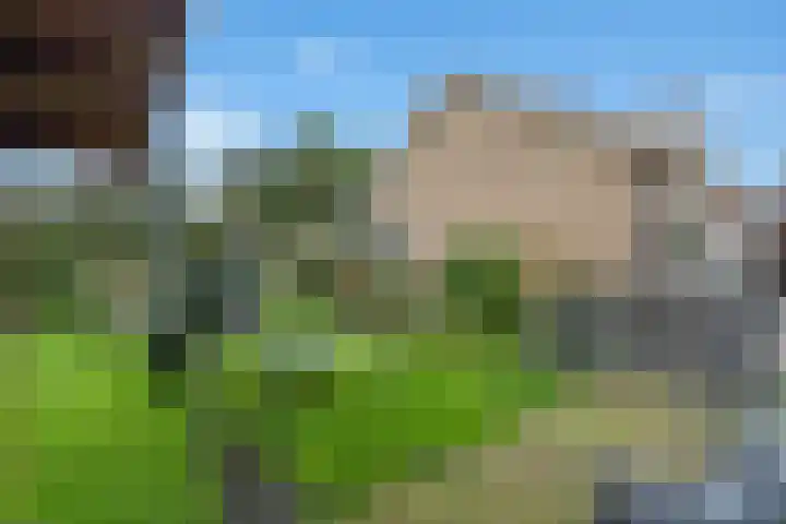 Lopikerweg west 5 C Lopik thumbnail 29