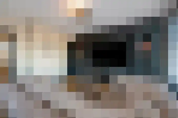Lopikstraat 7 Den Haag thumbnail 11