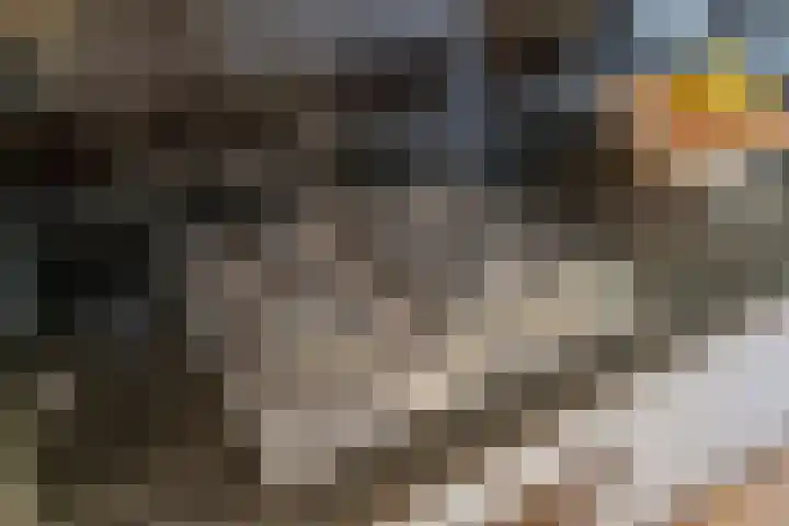 Lopikstraat 7 Den Haag thumbnail 17