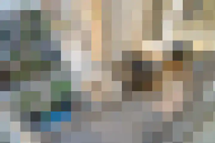 Lopikstraat 7 Den Haag thumbnail 20