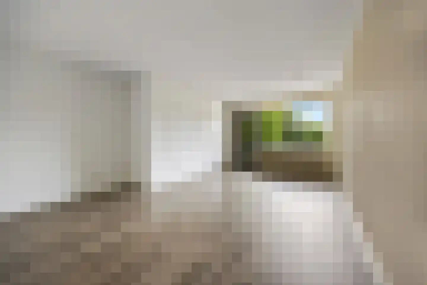 Loplein 10 Arnhem thumbnail 12