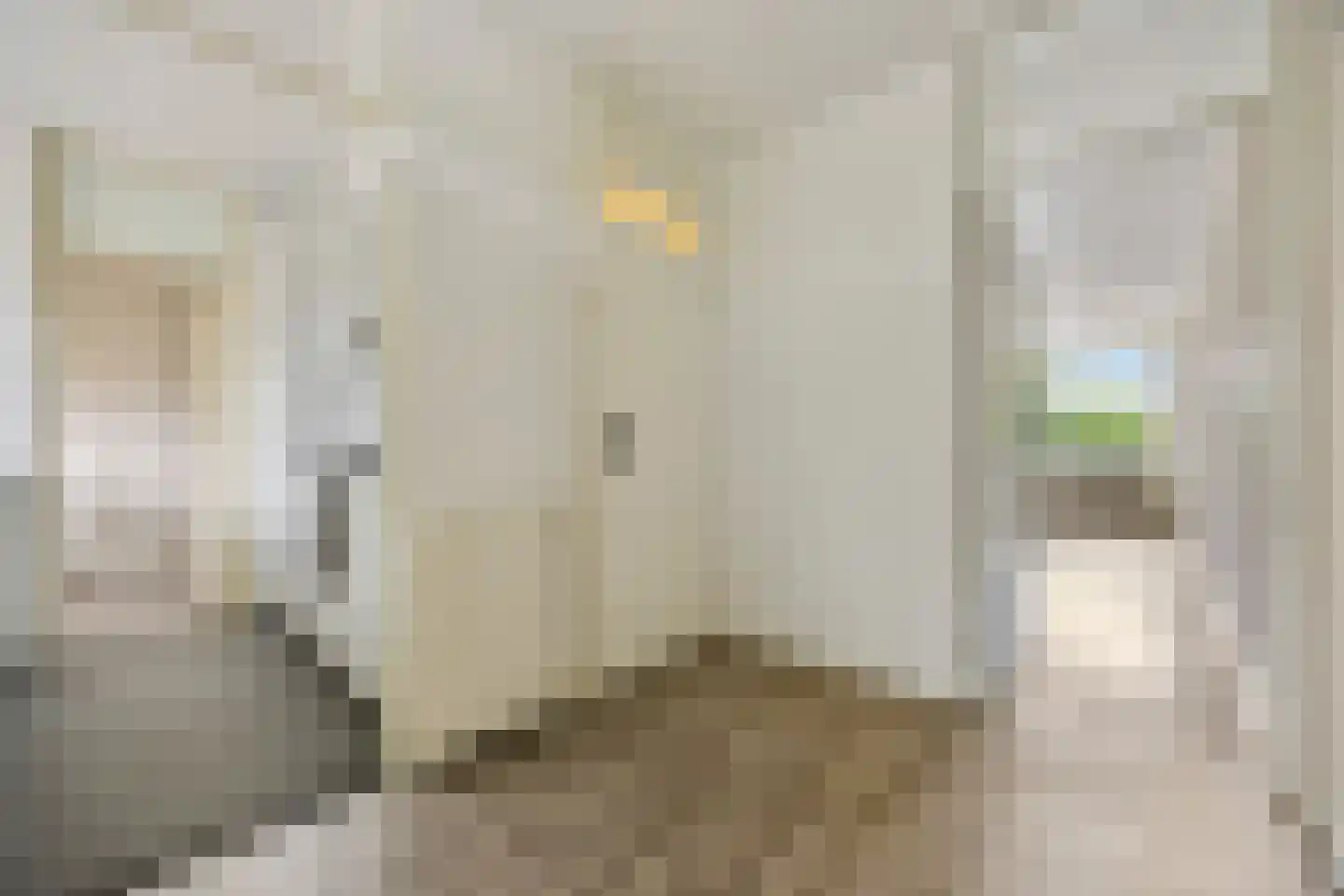 Loplein 10 Arnhem thumbnail 7