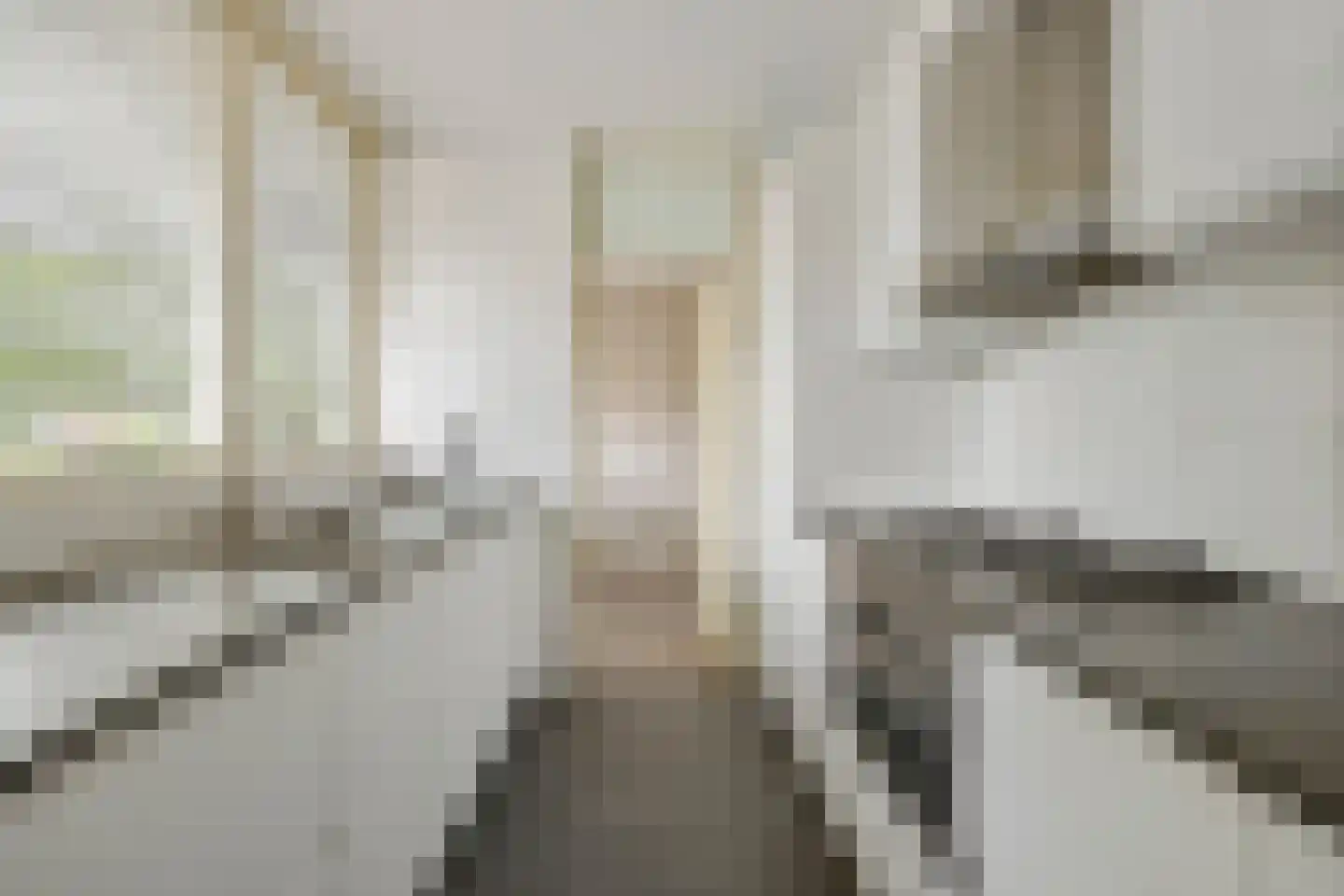 Loplein 10 Arnhem thumbnail 8
