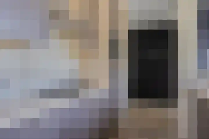 Loplein 24 Arnhem thumbnail 15