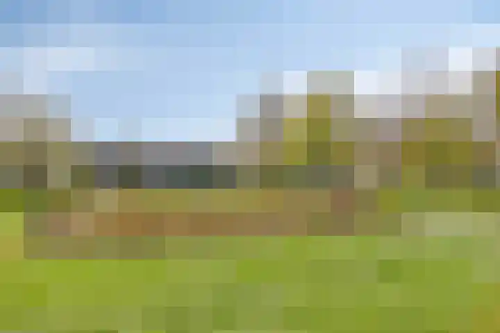 Loplein 24 Arnhem thumbnail 33