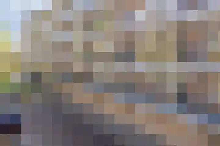 Loplein 24 Arnhem thumbnail 37
