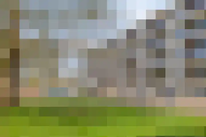 Loplein 24 Arnhem thumbnail 46