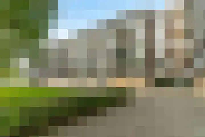 Loplein 36 Arnhem thumbnail 25