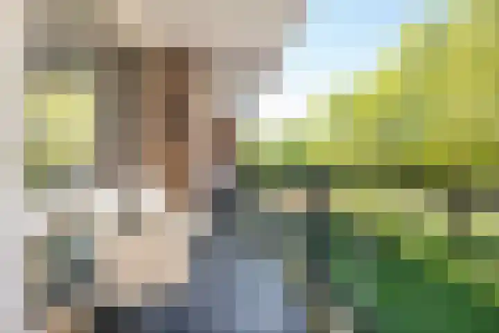 Loplein 39 Arnhem thumbnail 12