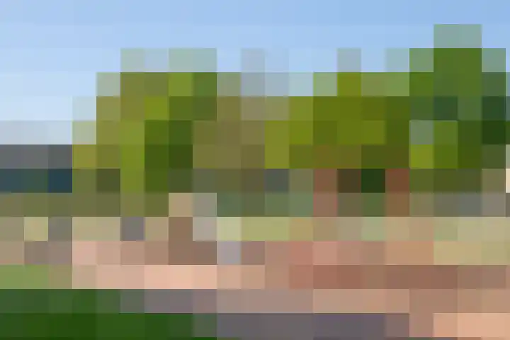 Loplein 39 Arnhem thumbnail 28