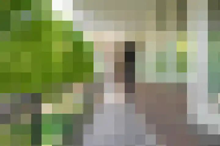 Loplein 39 Arnhem thumbnail 5