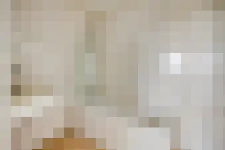 Loplein 58 Arnhem thumbnail 23