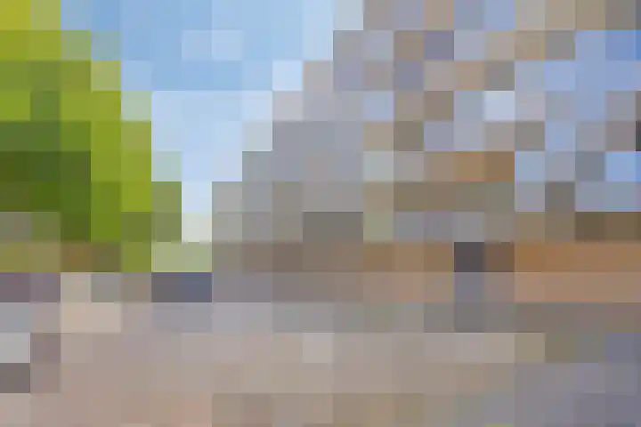 Loplein 58 Arnhem thumbnail 4