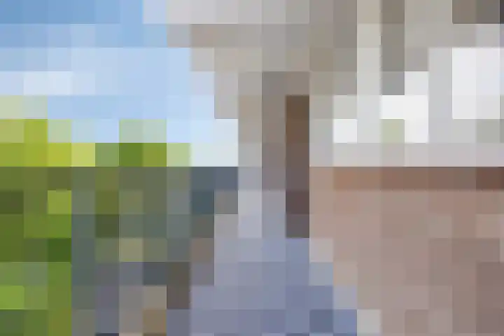 Loplein 58 Arnhem thumbnail 7