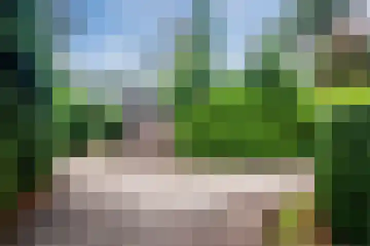 Loplein 62 Arnhem thumbnail 10