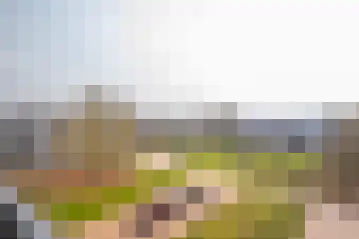 Loplein 62 Arnhem thumbnail 29