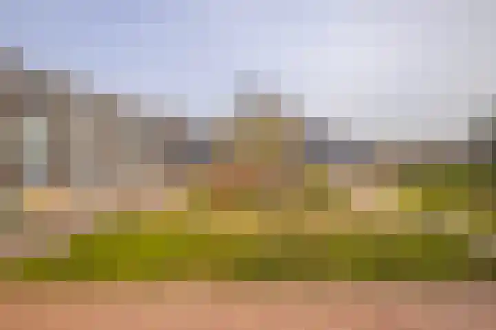 Loplein 62 Arnhem thumbnail 30