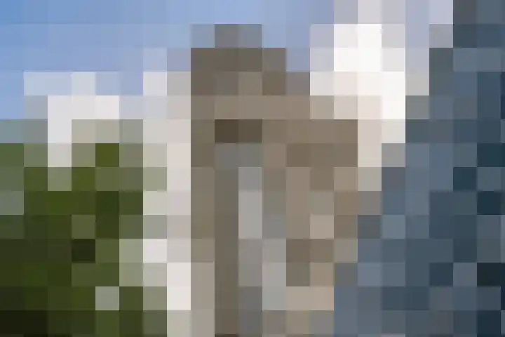 Loplein 62 Arnhem thumbnail 7