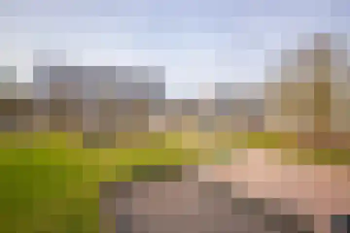 Loplein 62 Arnhem thumbnail 7