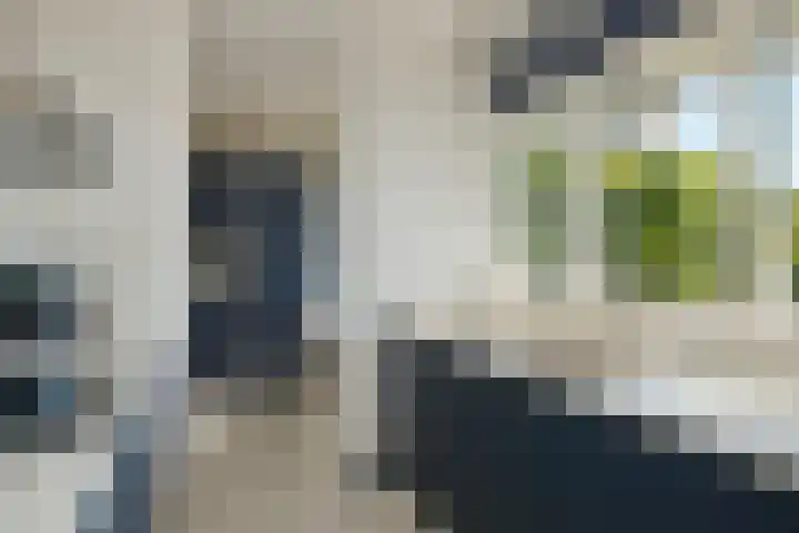 Loplein 69 Arnhem thumbnail 17