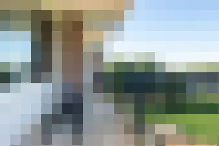Loplein 69 Arnhem thumbnail 25