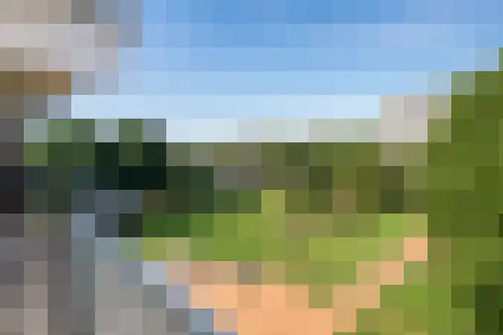 Loplein 69 Arnhem thumbnail 26