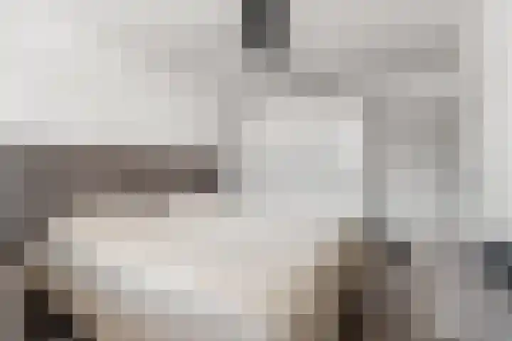 Loppersumhof 152 Arnhem thumbnail 14