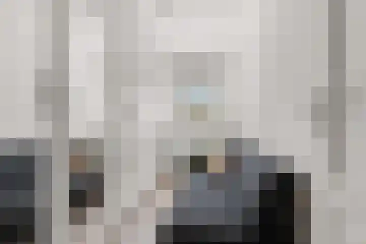 Loppersumhof 152 Arnhem thumbnail 17