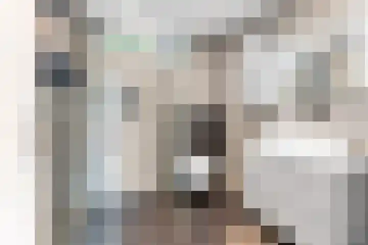Loppersumhof 152 Arnhem thumbnail 18