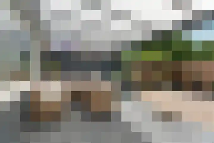Loppersumhof 152 Arnhem thumbnail 27