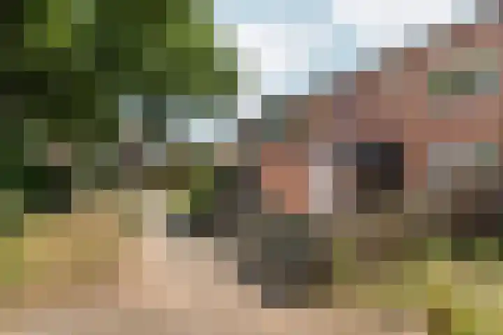 Loppersumhof 152 Arnhem thumbnail 31