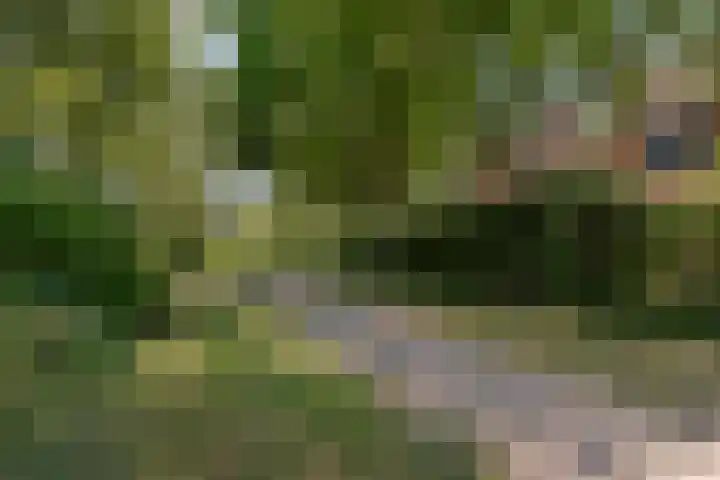 Loppersumhof 152 Arnhem thumbnail 34