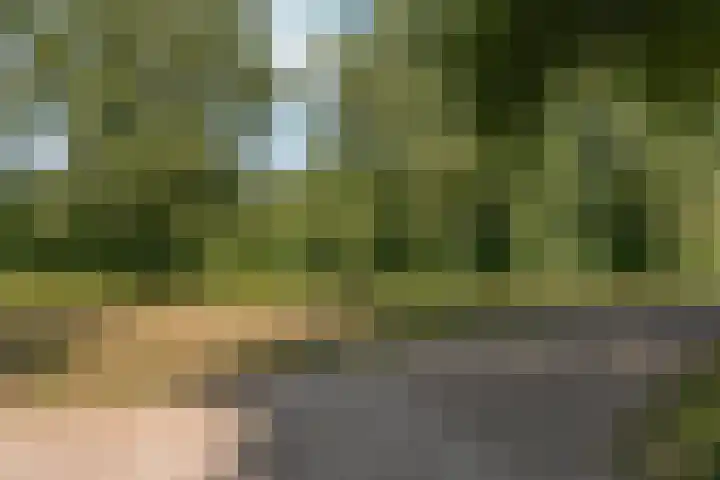 Loppersumhof 152 Arnhem thumbnail 35