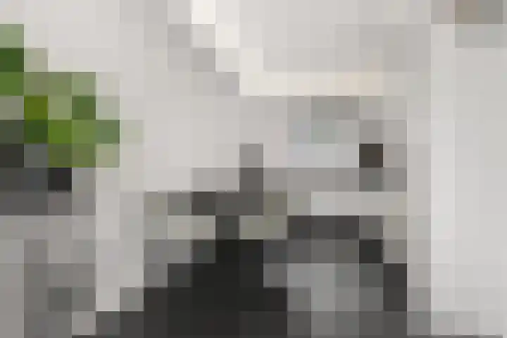 Loppersumhof 152 Arnhem thumbnail 7