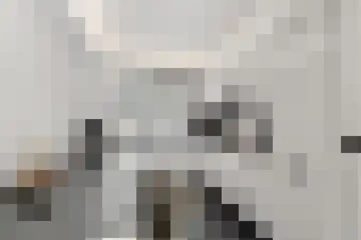 Loppersumhof 152 Arnhem thumbnail 8