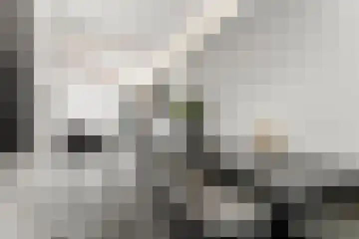Loppersumhof 152 Arnhem thumbnail 9