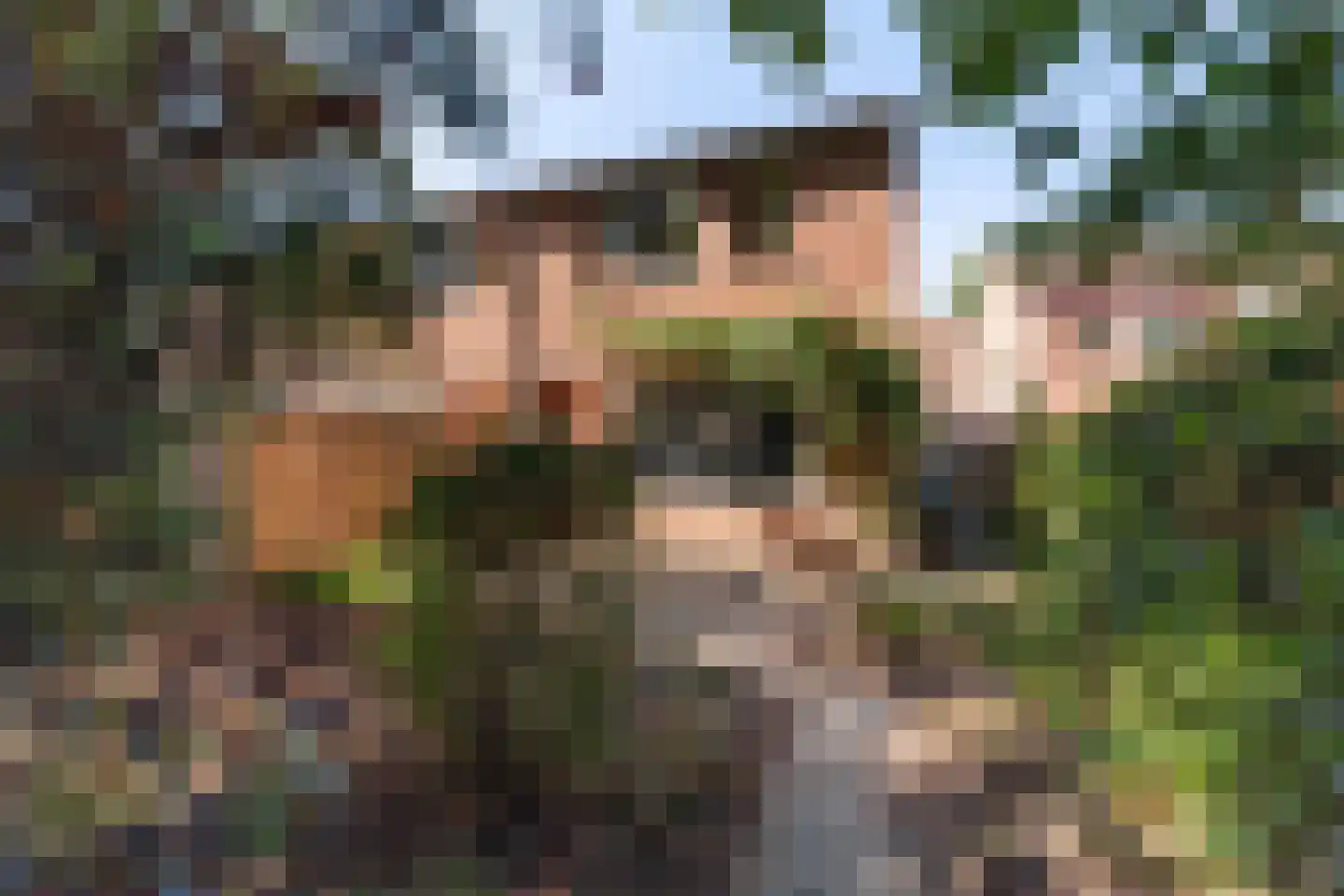 Loppersumhof 48 Arnhem thumbnail 23