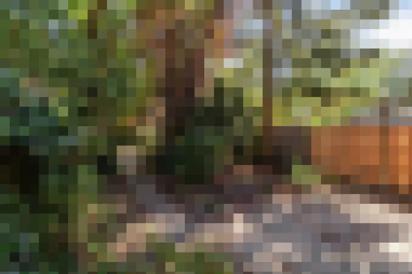 Loppersumhof 48 Arnhem thumbnail 24