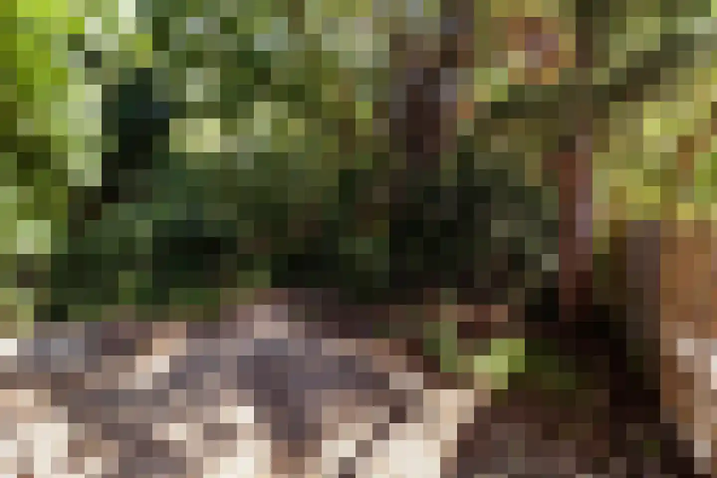 Loppersumhof 48 Arnhem thumbnail 25
