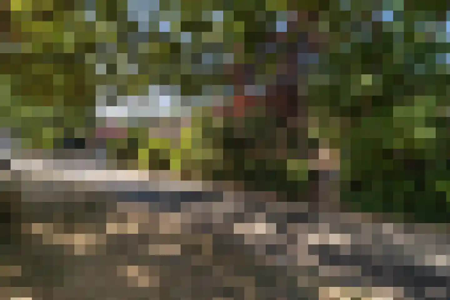 Loppersumhof 48 Arnhem thumbnail 27
