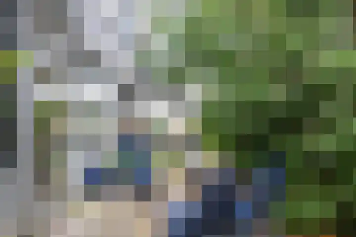 Loppersummergang 14 Groningen thumbnail 25