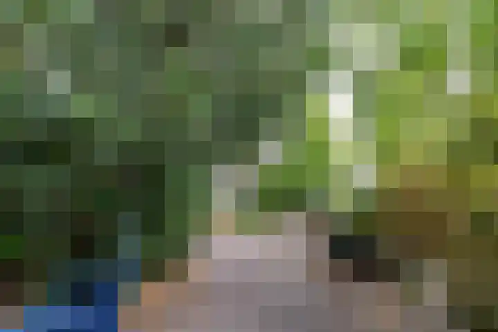 Loppersummergang 14 Groningen thumbnail 26