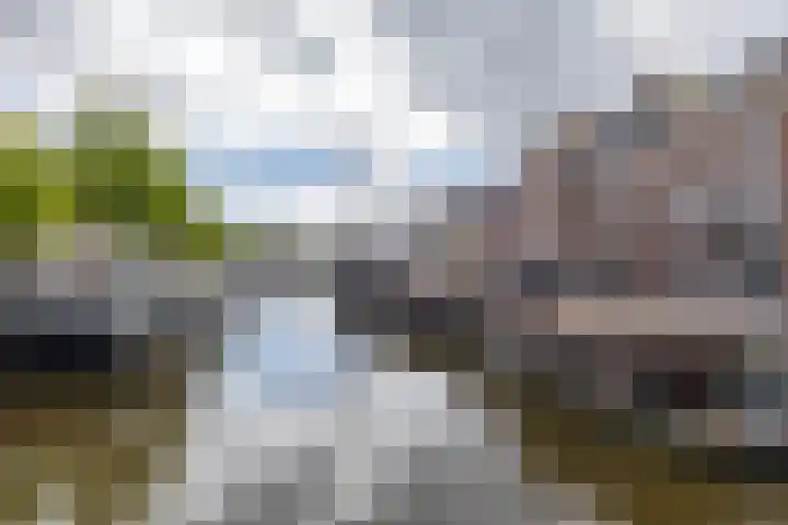 Loppersummergang 14 Groningen thumbnail 28